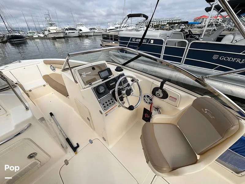 Slide: The Image of Scout 210 Dorado 2023 - 16107981