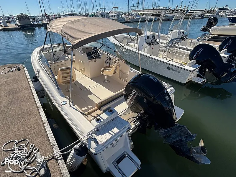 Slide: The Image of Scout 210 Dorado 2023 - 16158433