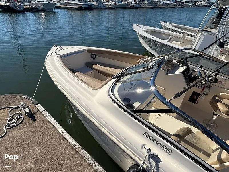 Slide: The Image of Scout 210 Dorado 2023 - 16158424