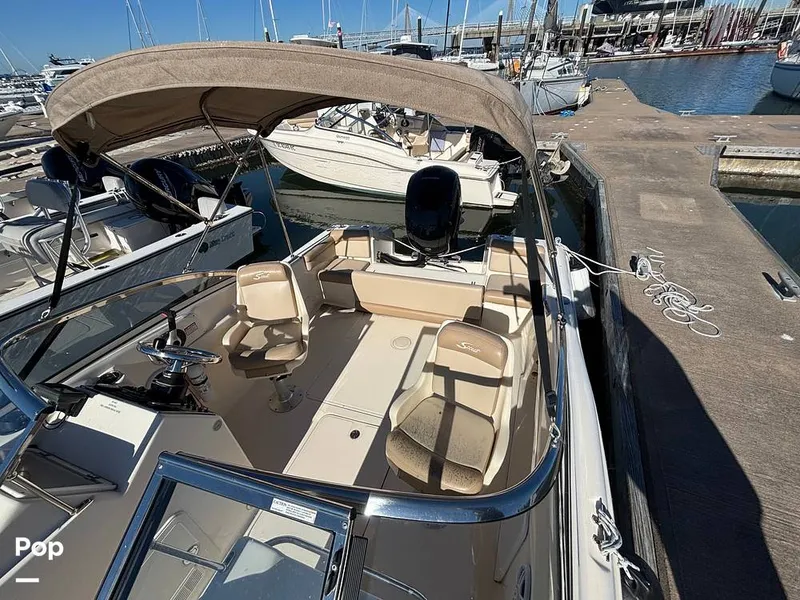 Slide: The Image of Scout 210 Dorado 2023 - 16158427