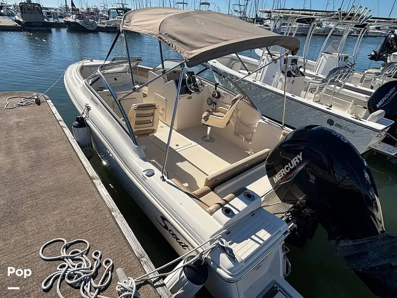 Slide: The Image of Scout 210 Dorado 2023 - 16158426