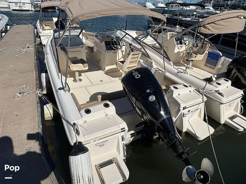 The Image of Scout 210 Dorado 2023 - 16062934