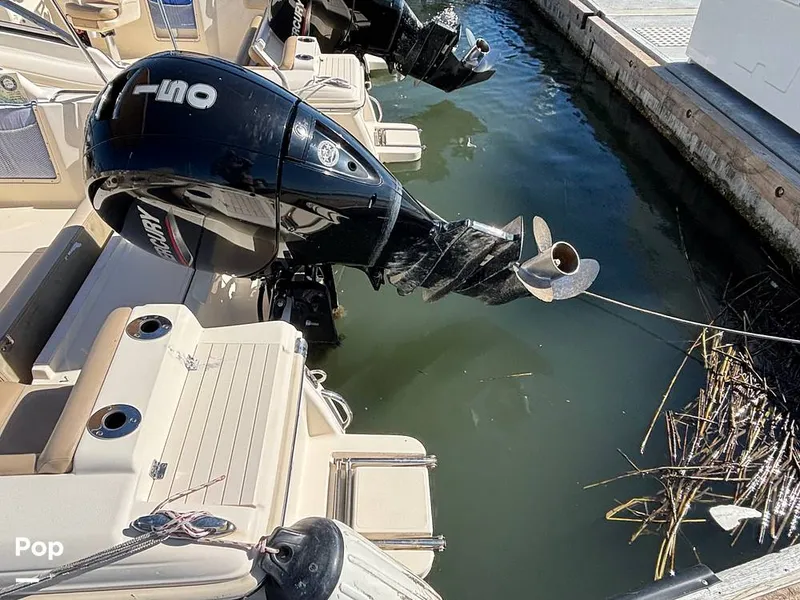 Slide: The Image of Scout 210 Dorado 2023 - 16062943