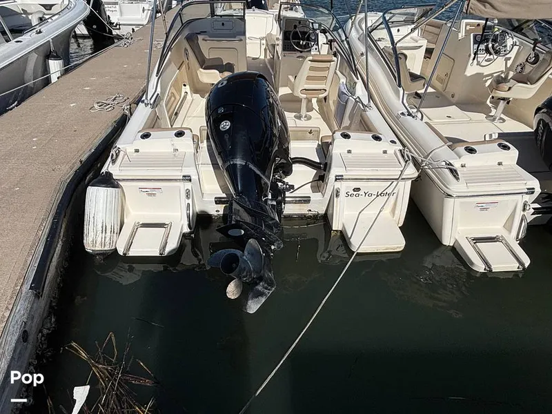 Slide: The Image of Scout 210 Dorado 2023 - 16062815