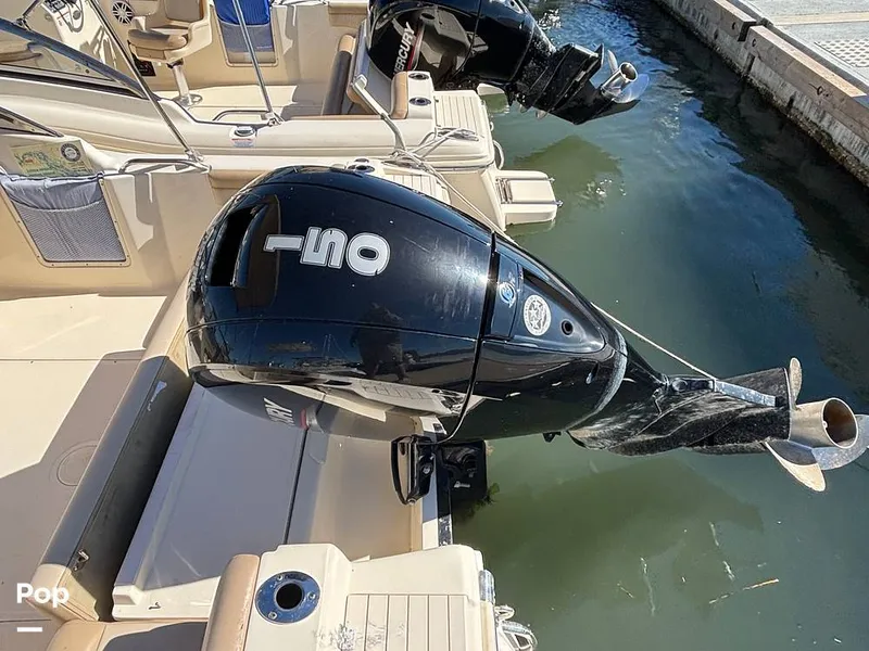 Slide: The Image of Scout 210 Dorado 2023 - 16062942