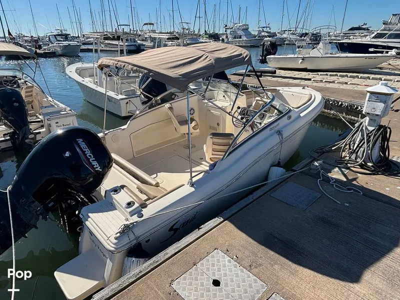 The Image of Scout 210 Dorado 2023 - 16158408