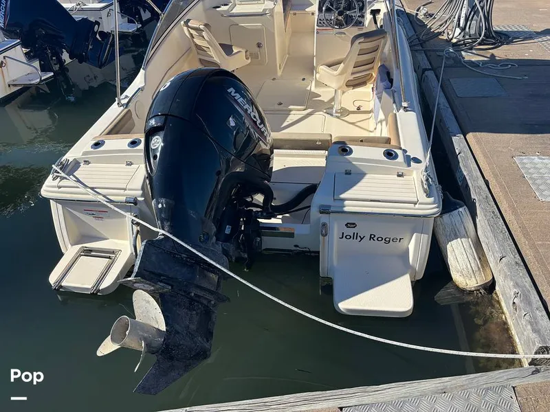 Slide: The Image of Scout 210 Dorado 2023 - 16158412