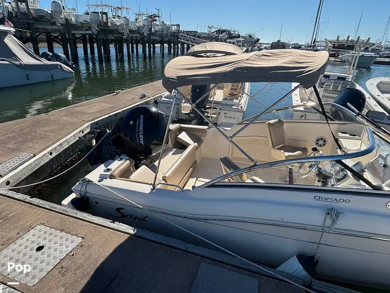 Slide: The Image of Scout 210 Dorado 2023 - 16158414