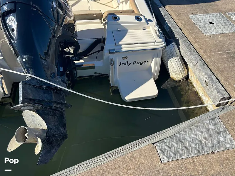 Slide: The Image of Scout 210 Dorado 2023 - 16158419