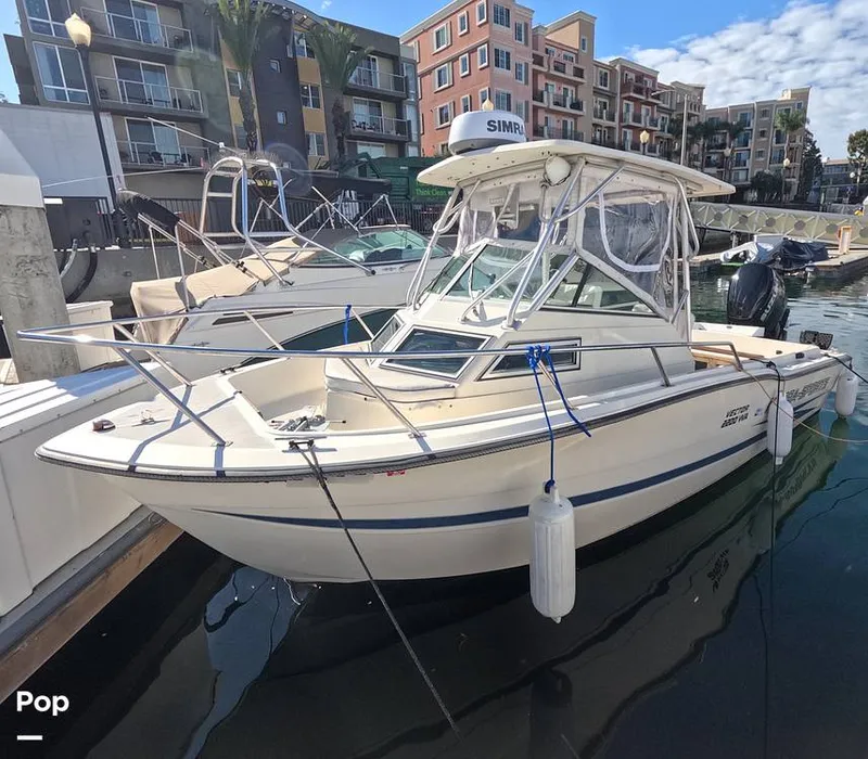 The Image of Hydra-Sports Vector 2200 WA 1989 - 16069310