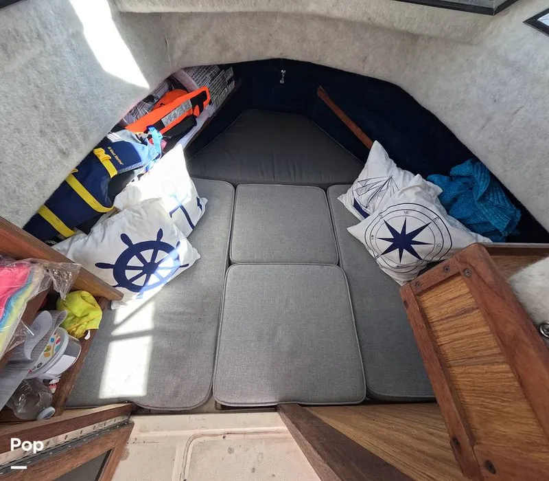 Slide: The Image of Hydra-Sports Vector 2200 WA 1989 - 16069320