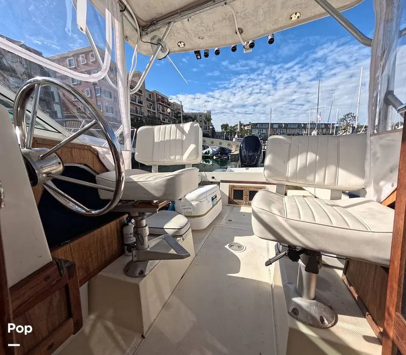 Slide: The Image of Hydra-Sports Vector 2200 WA 1989 - 16069321