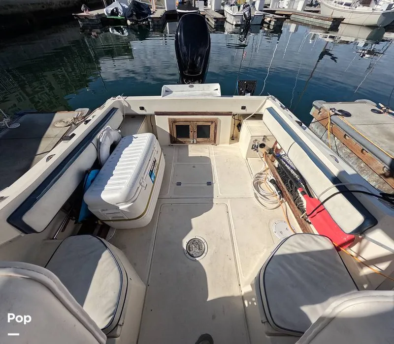 Slide: The Image of Hydra-Sports Vector 2200 WA 1989 - 16069324