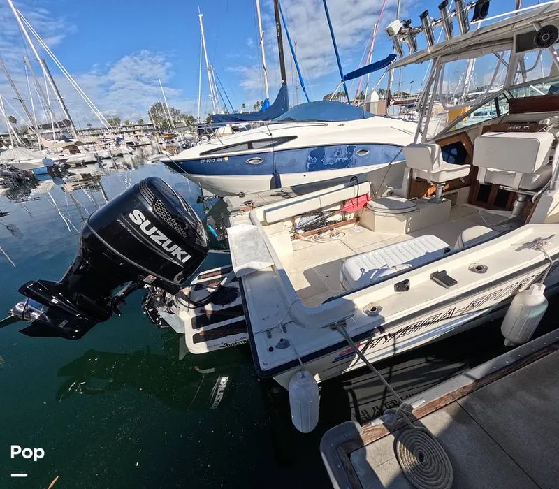 Slide: The Image of Hydra-Sports Vector 2200 WA 1989 - 16069325