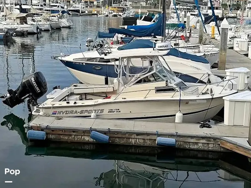 Slide: The Image of Hydra-Sports Vector 2200 WA 1989 - 16069327