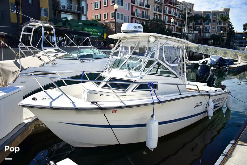 Slide: The Image of Hydra-Sports Vector 2200 WA 1989 - 16069330