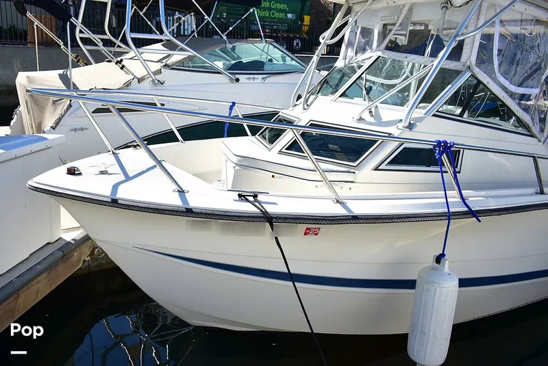 Slide: The Image of Hydra-Sports Vector 2200 WA 1989 - 16069331