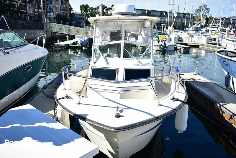 Slide: The Image of Hydra-Sports Vector 2200 WA 1989 - 16069335