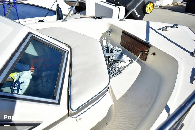 Slide: The Image of Hydra-Sports Vector 2200 WA 1989 - 16069336