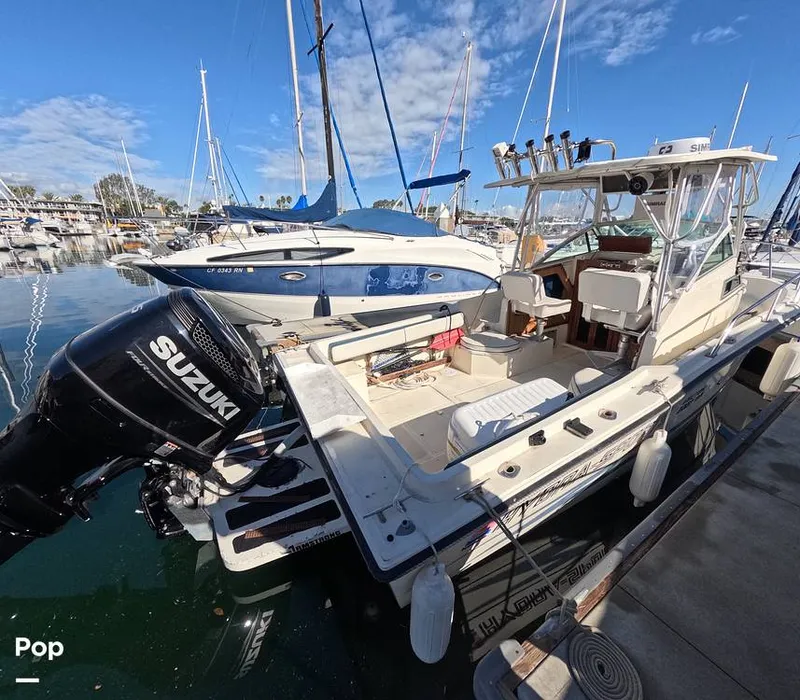 Slide: The Image of Hydra-Sports Vector 2200 WA 1989 - 16069313