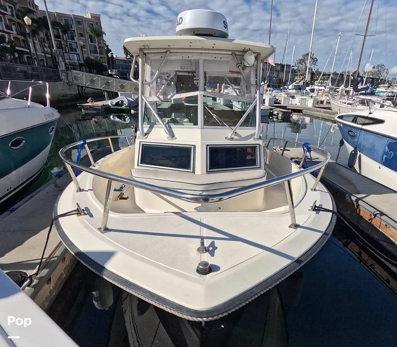 Slide: The Image of Hydra-Sports Vector 2200 WA 1989 - 16069314