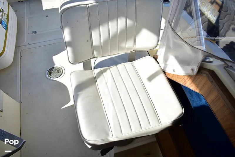 Slide: The Image of Hydra-Sports Vector 2200 WA 1989 - 16069372