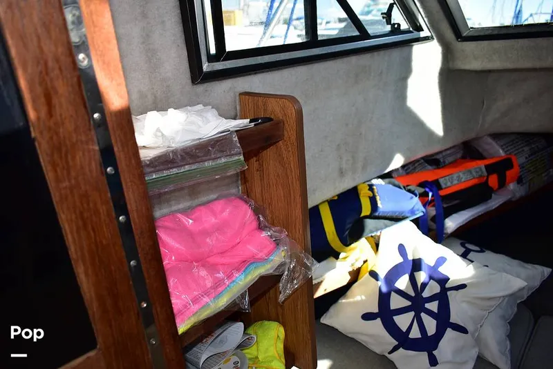 Slide: The Image of Hydra-Sports Vector 2200 WA 1989 - 16069375