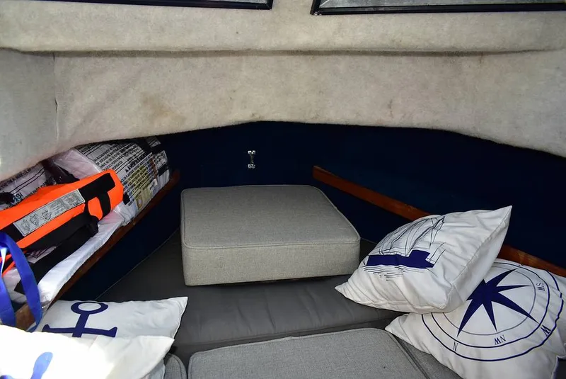 Slide: The Image of Hydra-Sports Vector 2200 WA 1989 - 16069376