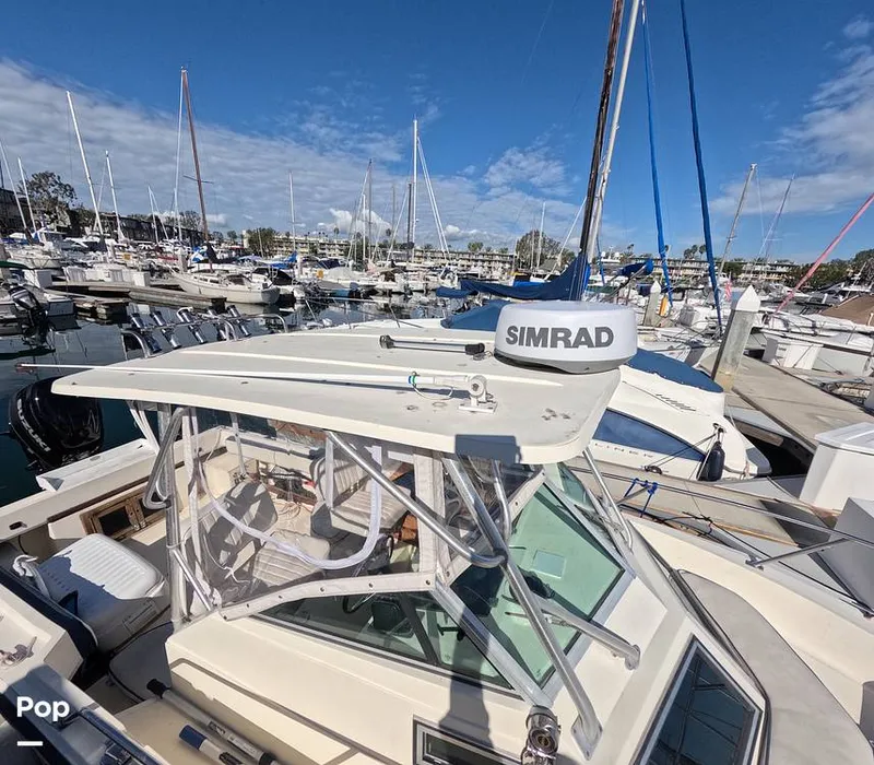 Slide: The Image of Hydra-Sports Vector 2200 WA 1989 - 16069315