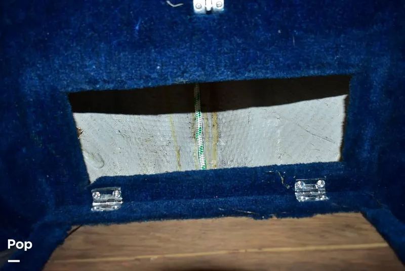 Slide: The Image of Hydra-Sports Vector 2200 WA 1989 - 16069378