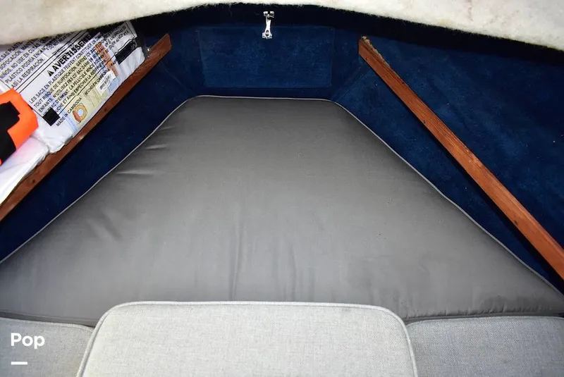 Slide: The Image of Hydra-Sports Vector 2200 WA 1989 - 16069379