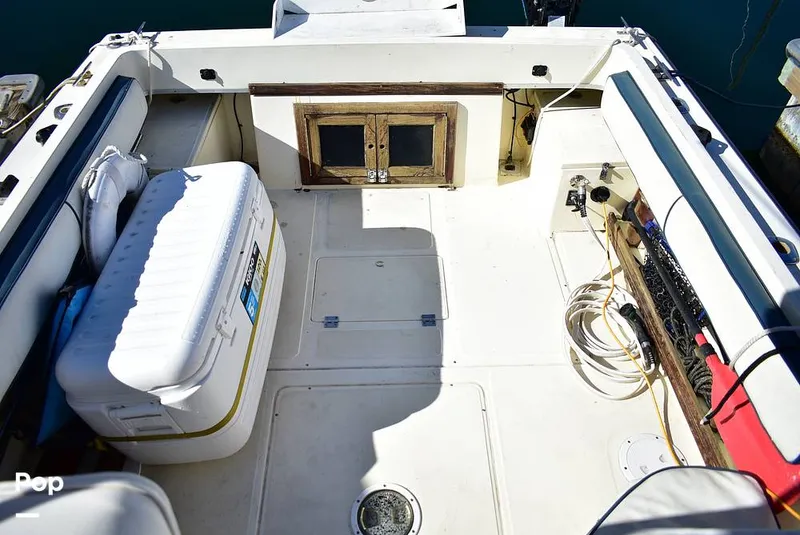 Slide: The Image of Hydra-Sports Vector 2200 WA 1989 - 16069380