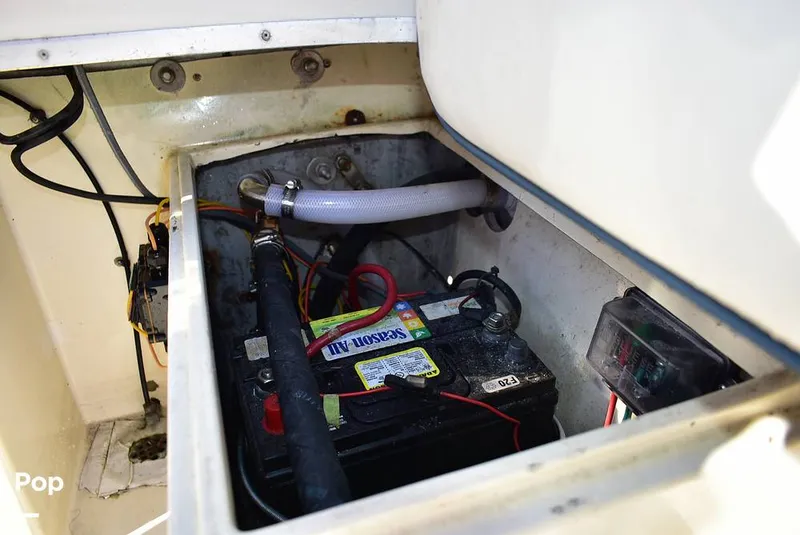 Slide: The Image of Hydra-Sports Vector 2200 WA 1989 - 16069385