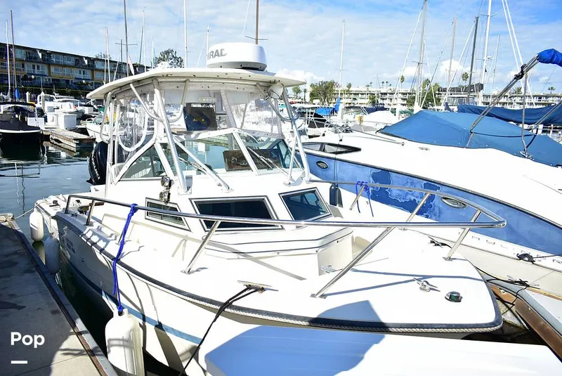 Slide: The Image of Hydra-Sports Vector 2200 WA 1989 - 16069386