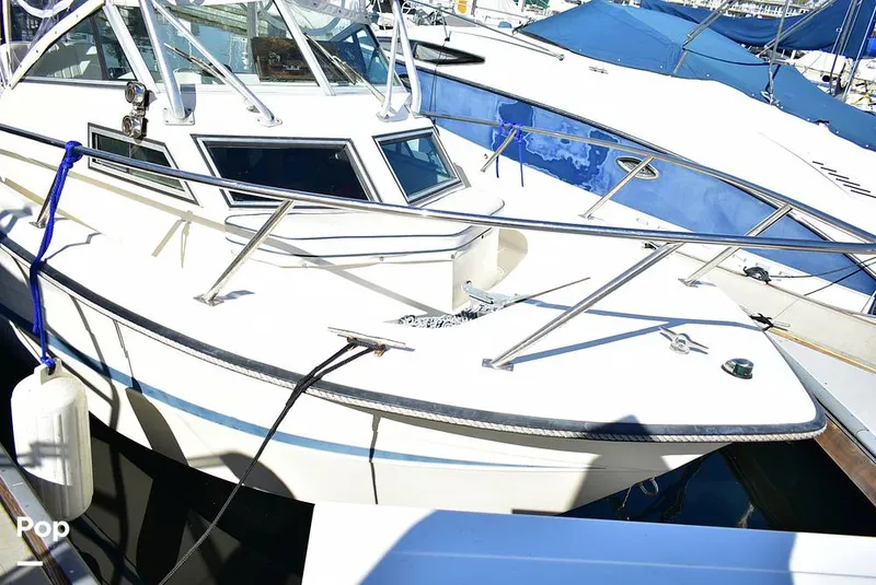 Slide: The Image of Hydra-Sports Vector 2200 WA 1989 - 16069387