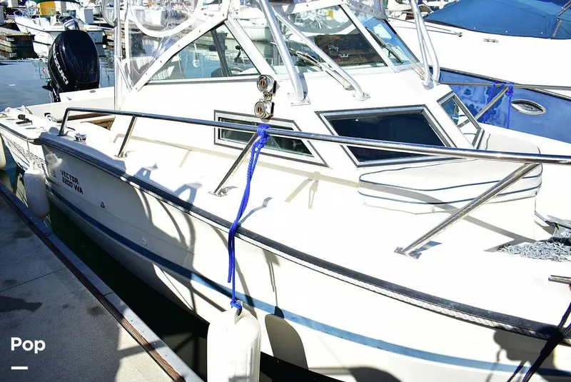 Slide: The Image of Hydra-Sports Vector 2200 WA 1989 - 16069388