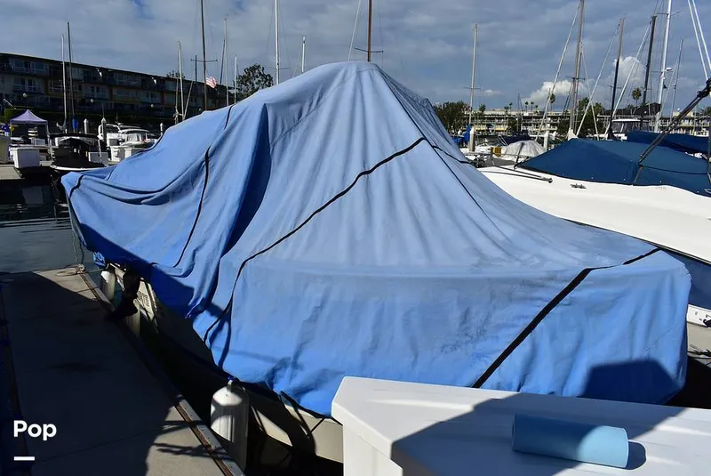 Slide: The Image of Hydra-Sports Vector 2200 WA 1989 - 16069393