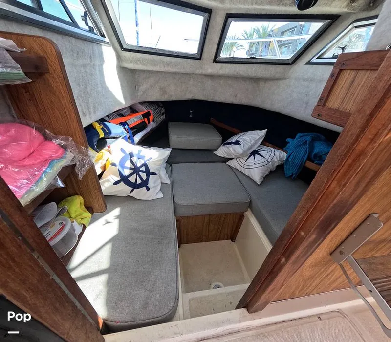 Slide: The Image of Hydra-Sports Vector 2200 WA 1989 - 16069317