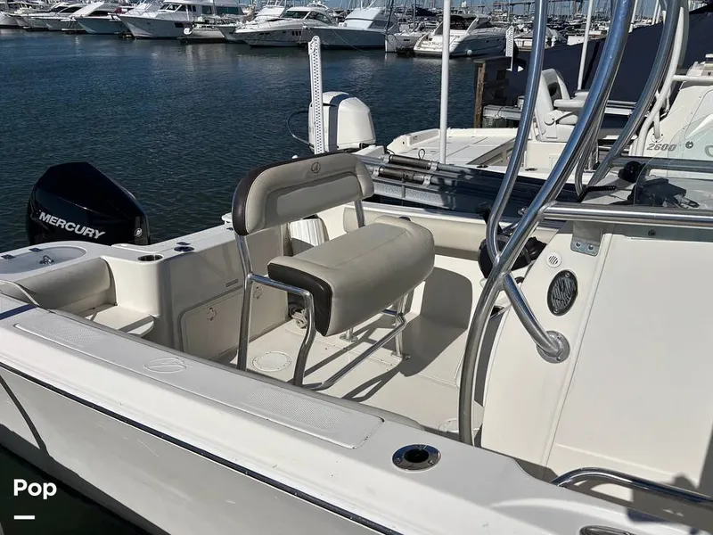 Slide: The Image of Sailfish 220 CC 2023 - 16062656