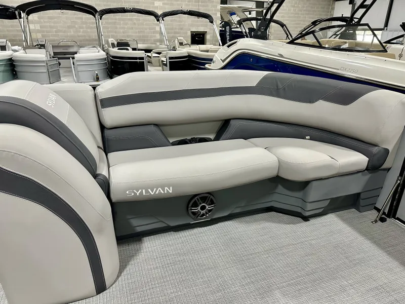 Slide: The Image of Sylvan L5 2024 - 4