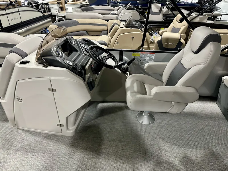 Slide: The Image of Sylvan L5 2024 - 8