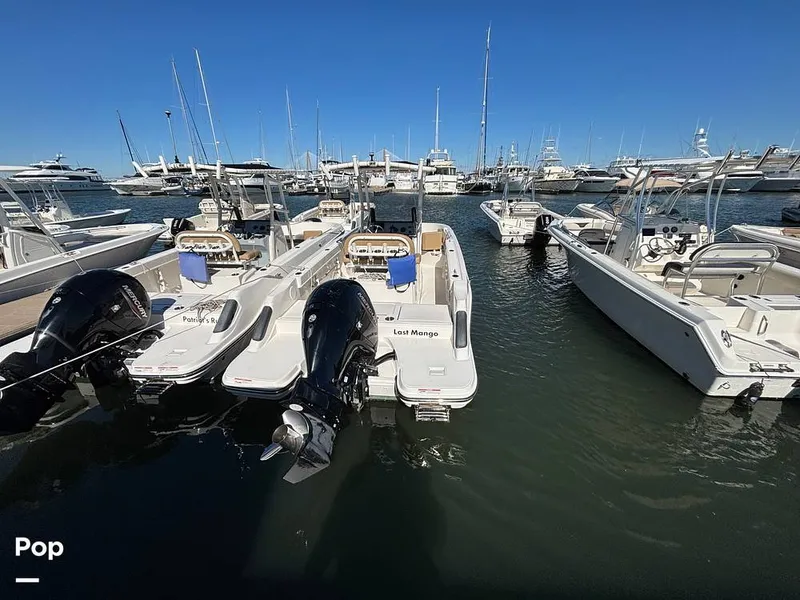 Slide: The Image of Trophy T22CC 2024 - 16062551