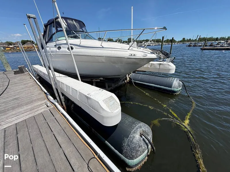 Slide: The Image of Sea Ray 260 Sundancer 2004 - 16478914