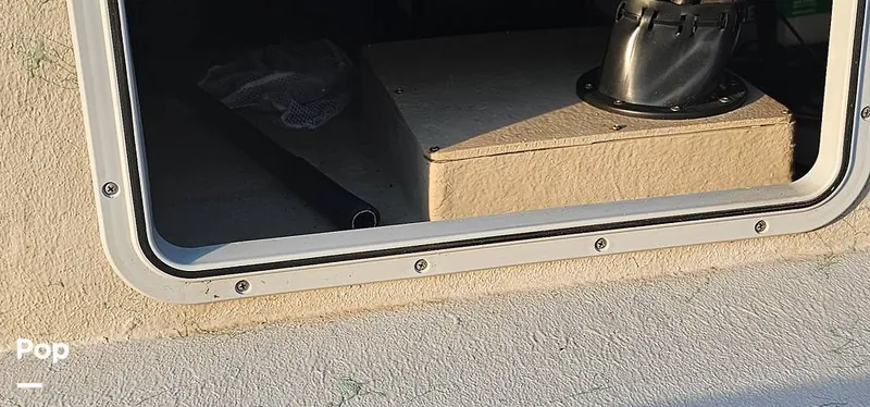 Slide: The Image of Shoalwater 23 Cat 2019 - 16068649