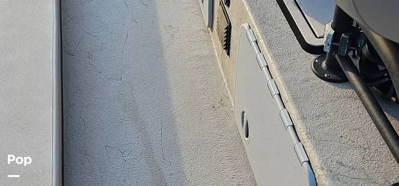 Slide: The Image of Shoalwater 23 Cat 2019 - 16068659