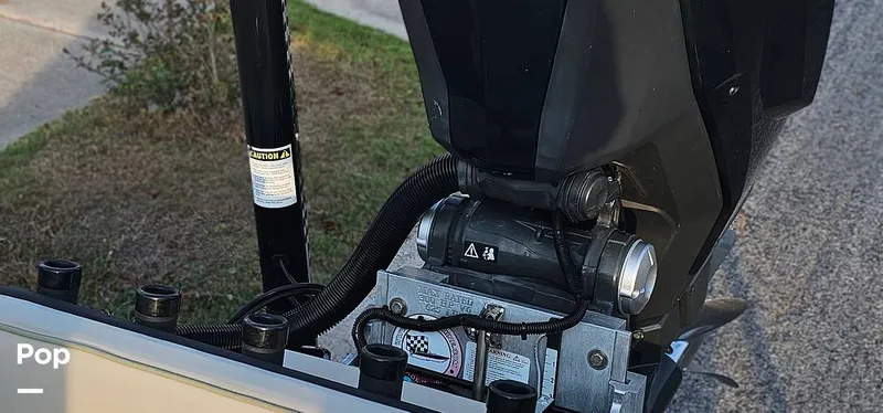 Slide: The Image of Shoalwater 23 Cat 2019 - 16068660