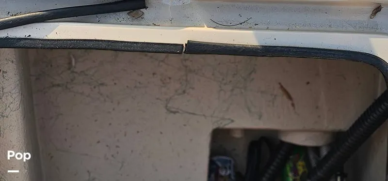 Slide: The Image of Shoalwater 23 Cat 2019 - 16068663