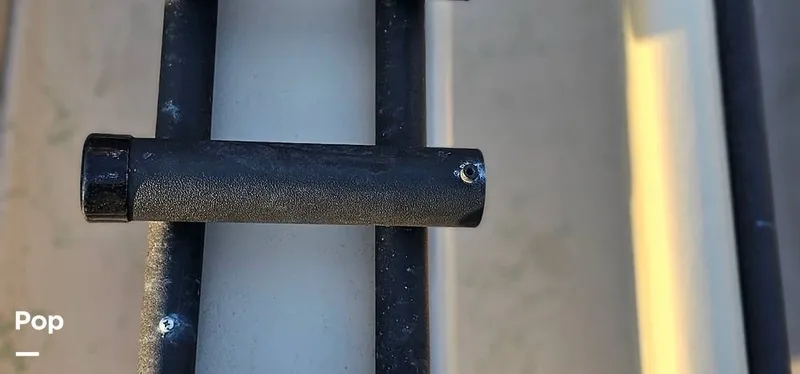 Slide: The Image of Shoalwater 23 Cat 2019 - 16068664