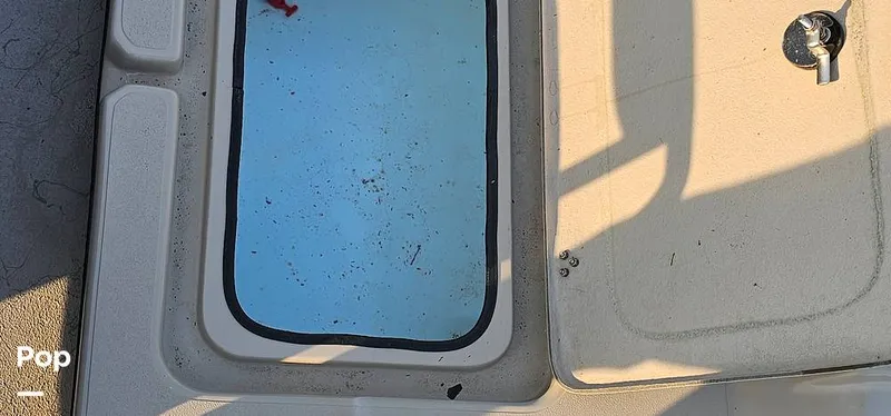 Slide: The Image of Shoalwater 23 Cat 2019 - 16068665