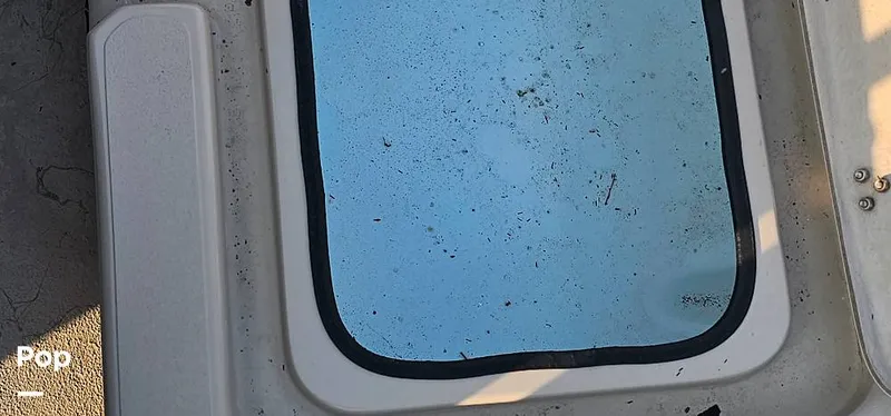 Slide: The Image of Shoalwater 23 Cat 2019 - 16068666